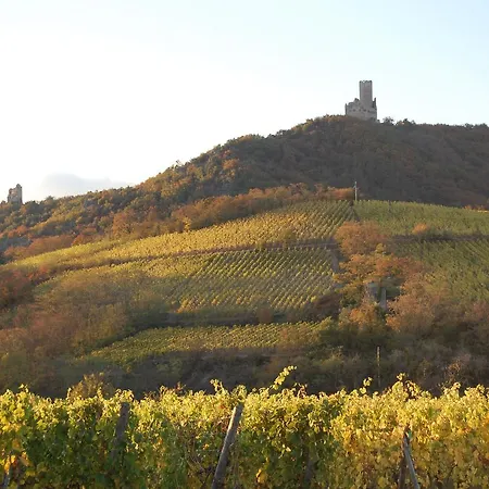 Ramstein - Restaurant 3* Scherwiller