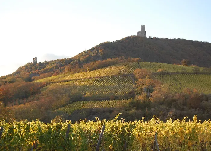 Ramstein - Restaurant 3* Scherwiller